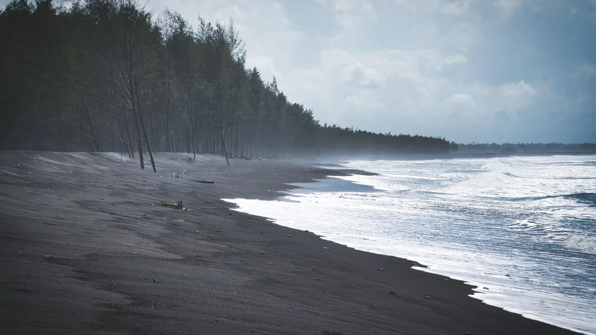 Waves rolling onto a black-sand beach lined with trees in Bali
