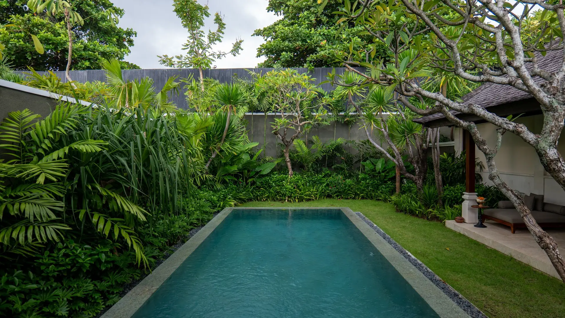 A long pool in a green tropical garden