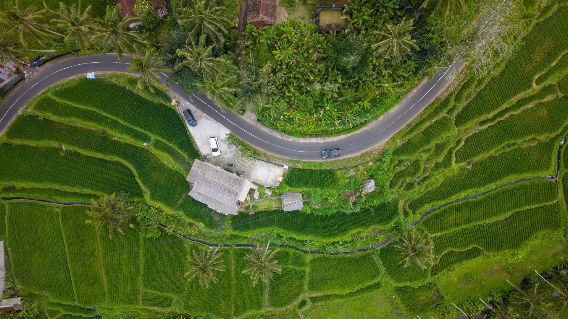 Aerial view of a winding village road through rice terraces